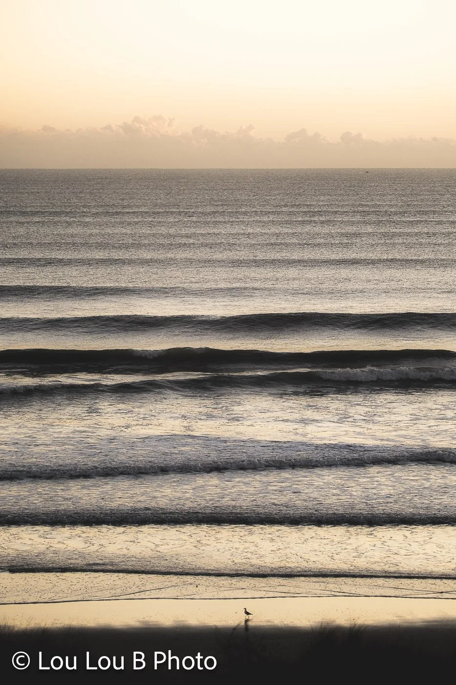 Layers of gentle ocean waves beneath a hazy cream and pale gold sky featuring a single seagul on the shoreline.
