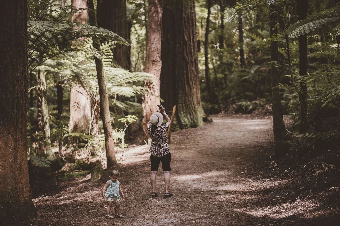 Toddler exploring the Redwoods Whakarewarewa Forest in Rotorua, New Zealand