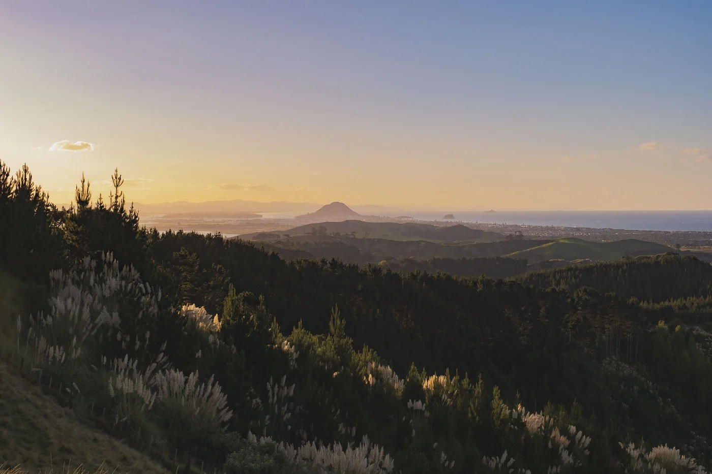 Sunset view toward Mount Maunganui from Papamoa Hills Regional Park across the Bay of Plenty coastline