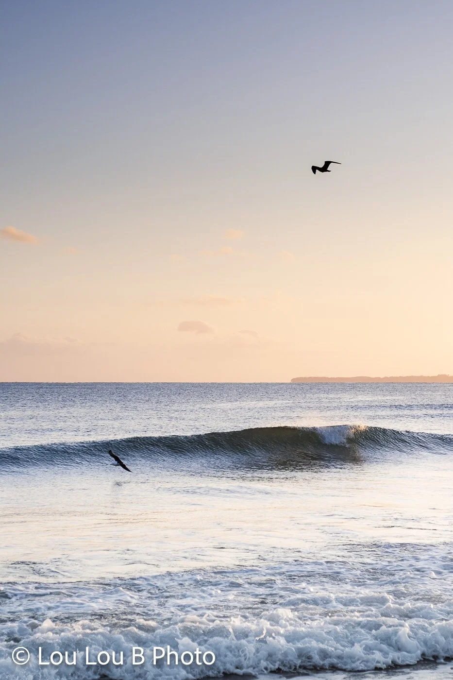 Surfer riding a small ocean wave beneath a pastel sunset sky with a seabird overhead.