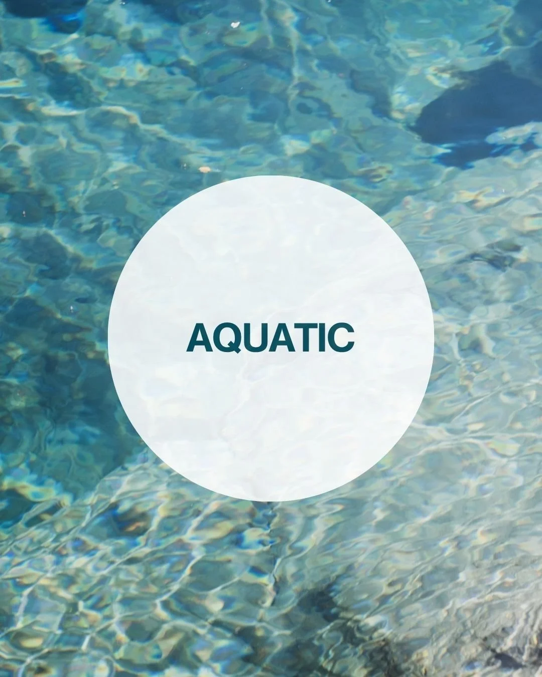 Aquatic.jpg