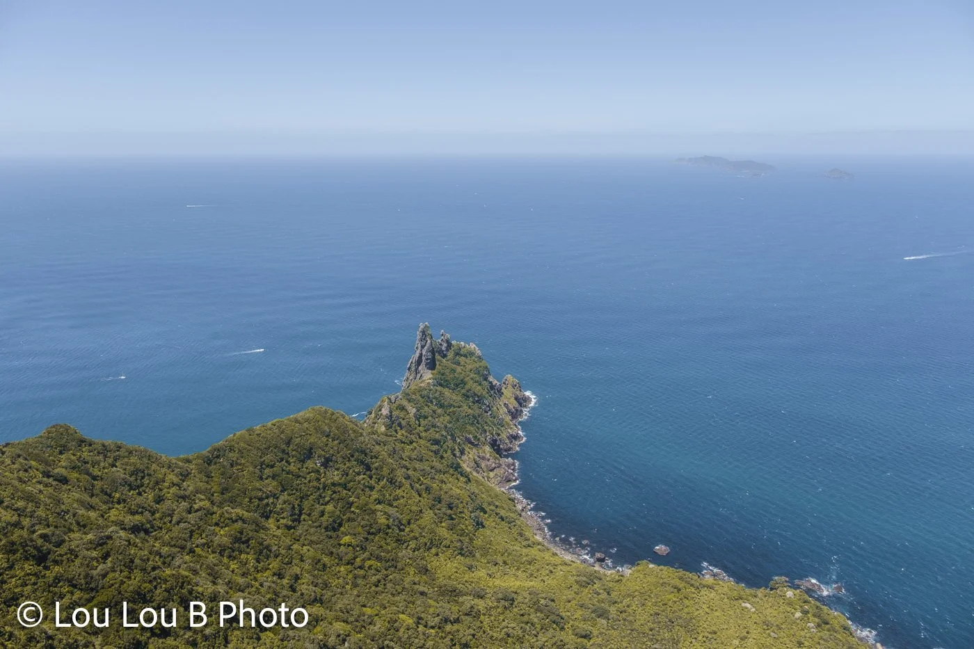 Bream Head coastline viewed from above, Whangārei Heads, Northland, New Zealand