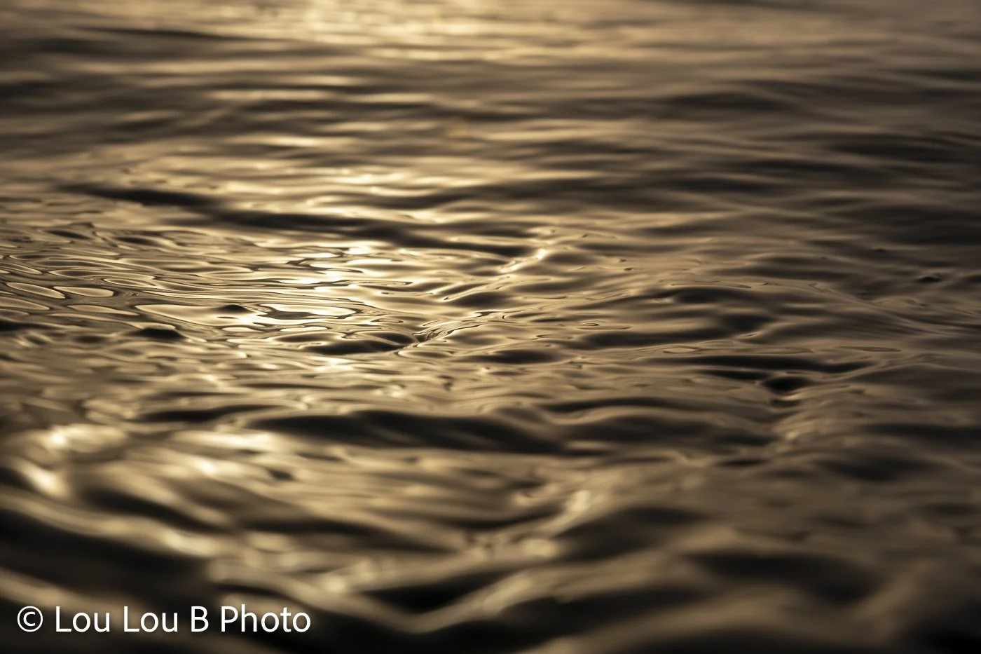 Close-up of softly rippled ocean water glowing in bronze and champagne light.