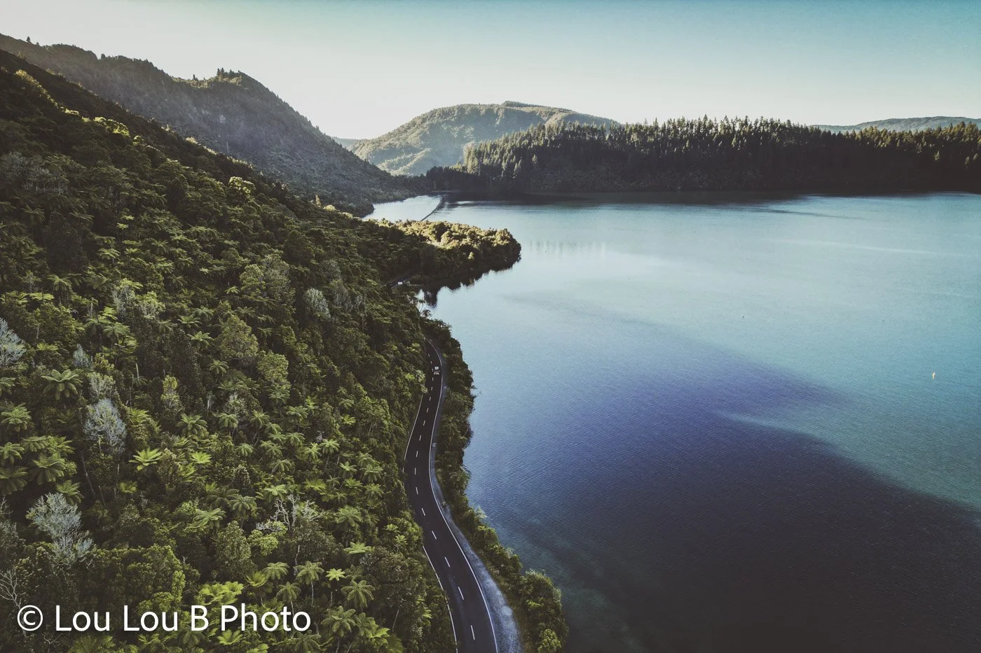 Blue Lake / Tikitapu surrounded by native forest, Rotorua, New Zealand