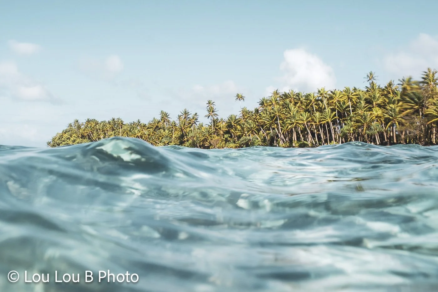 Tropical palm-lined coastline viewed from the turquoise ocean.