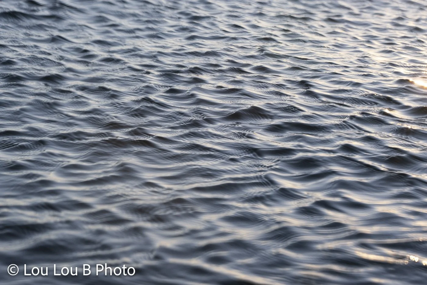 Close-up of rippled blue-grey ocean water reflecting soft coastal light.