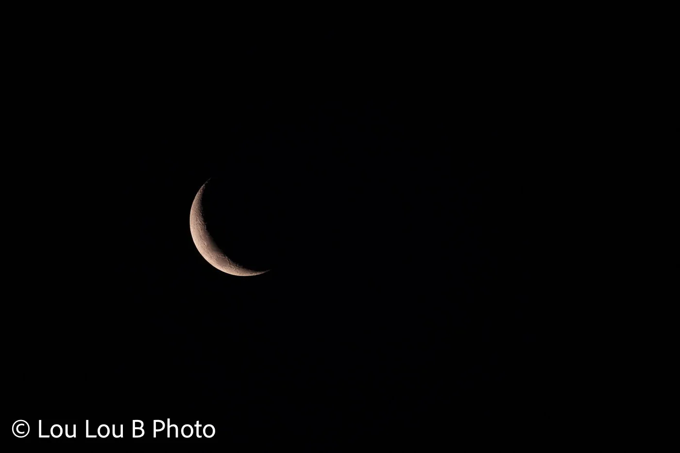Fine crescent moon illuminated against a completely black night sky.