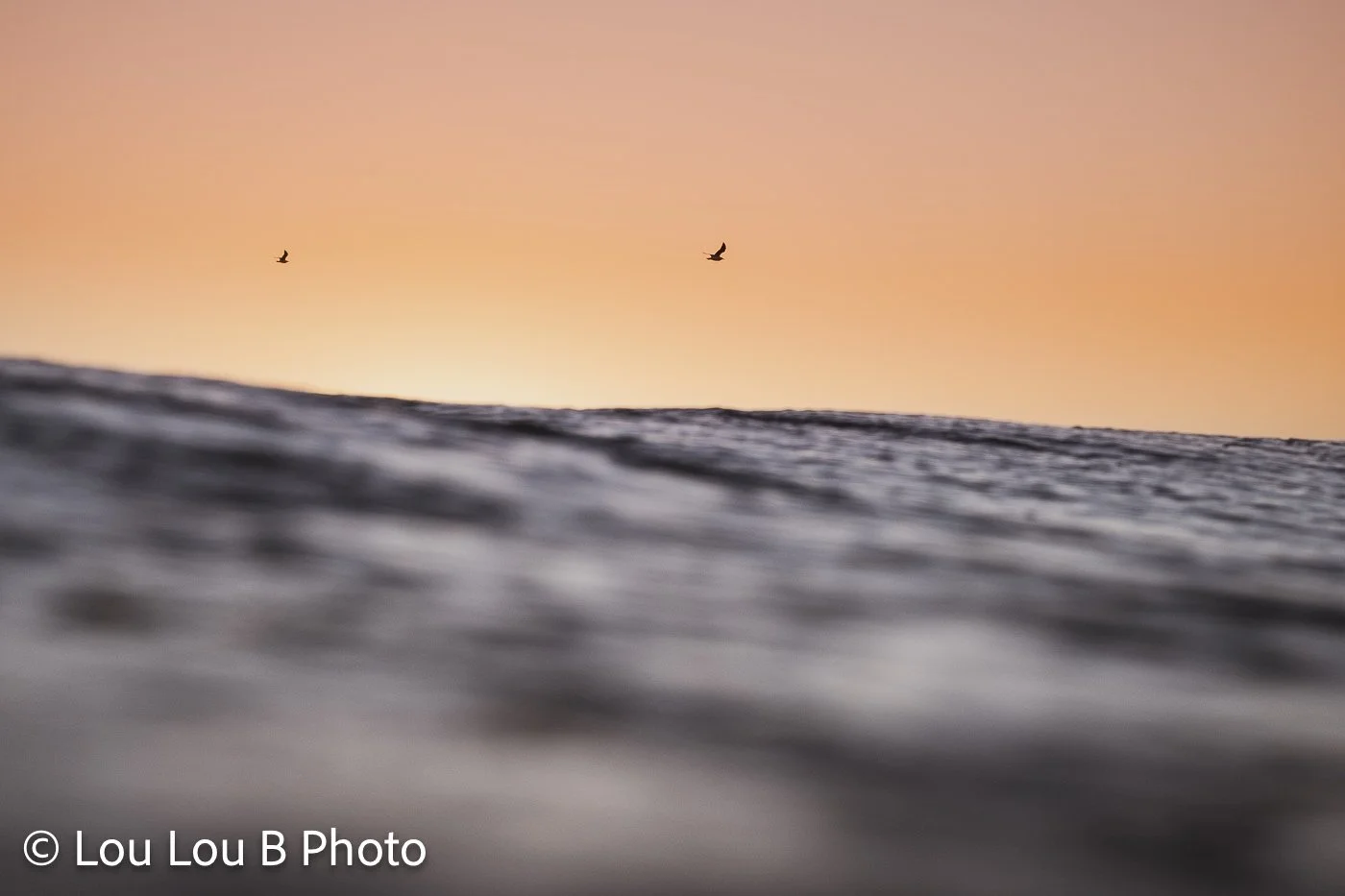 Minimal water-level seascape beneath a peach sky with two seabirds flying above the horizon.