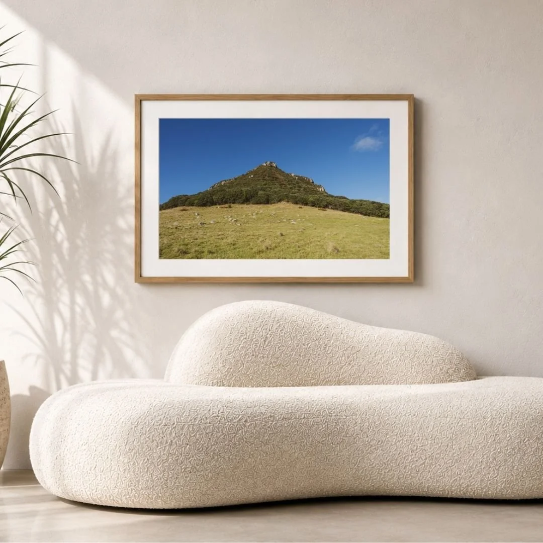 The Foothills.jpg