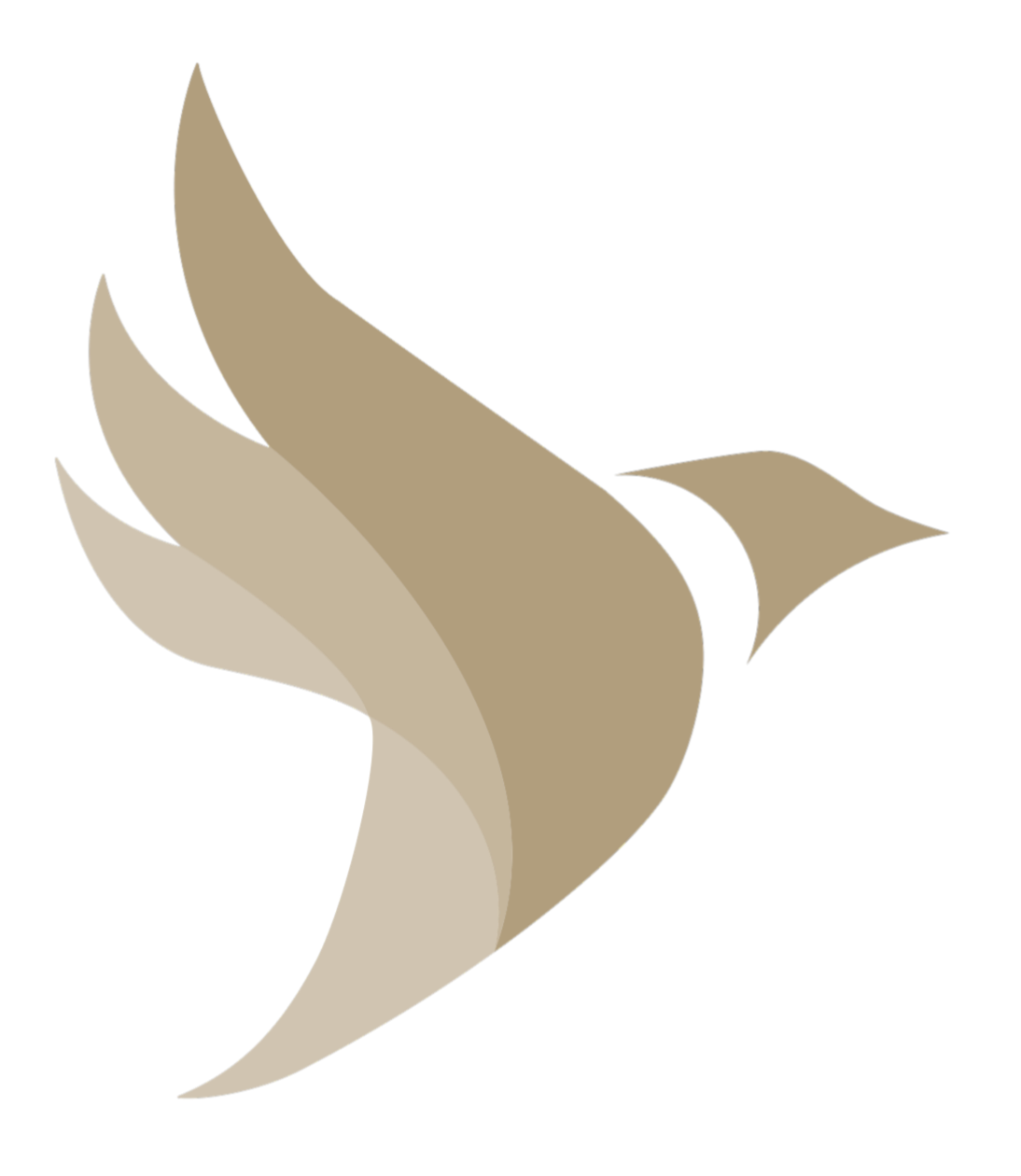 EvokeLife.co | health &amp; wellness | performance | longevity &amp; healthspan | pain medicine | registered massage therapy | acupuncture