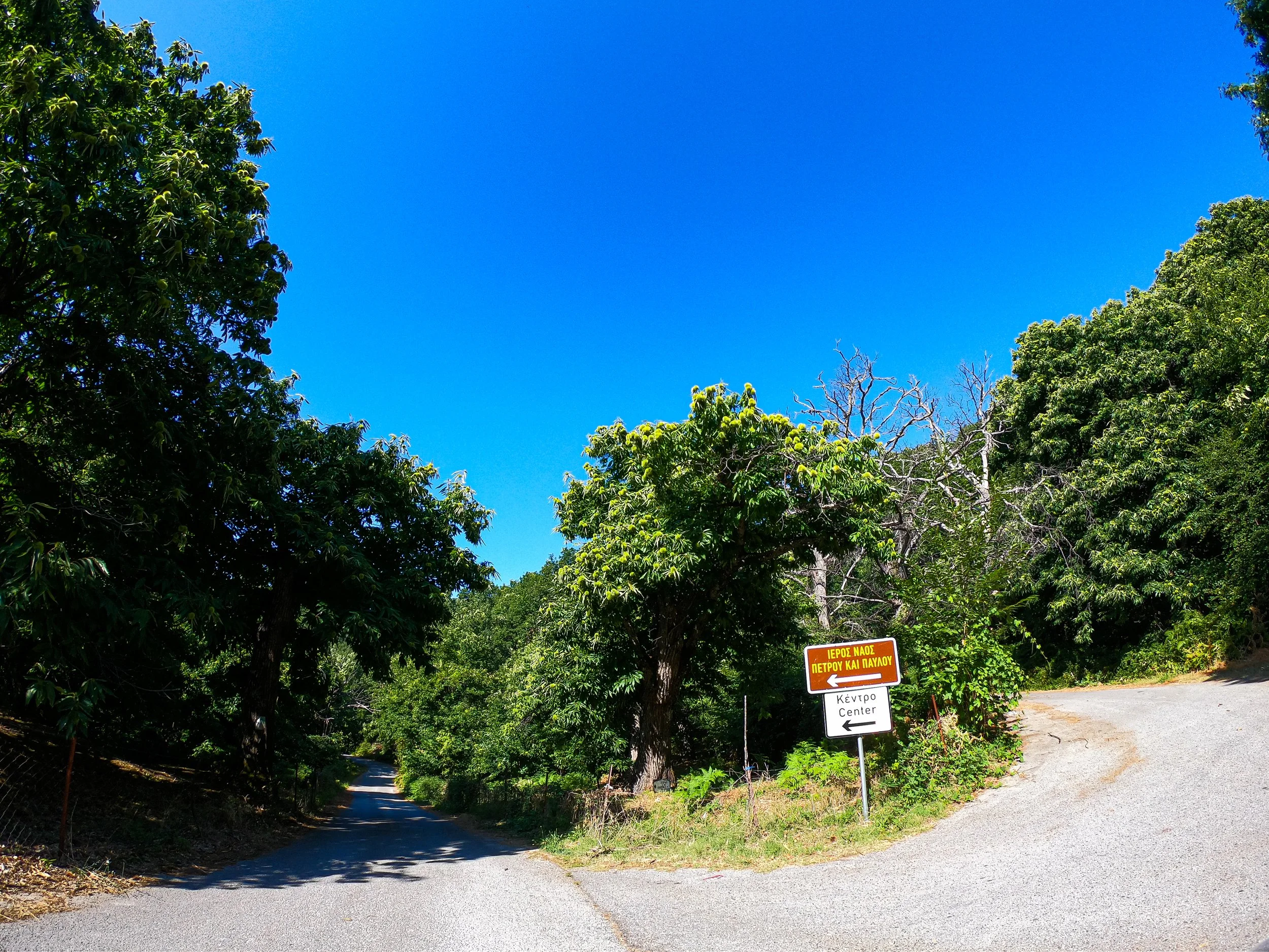 GOPR4852.jpg