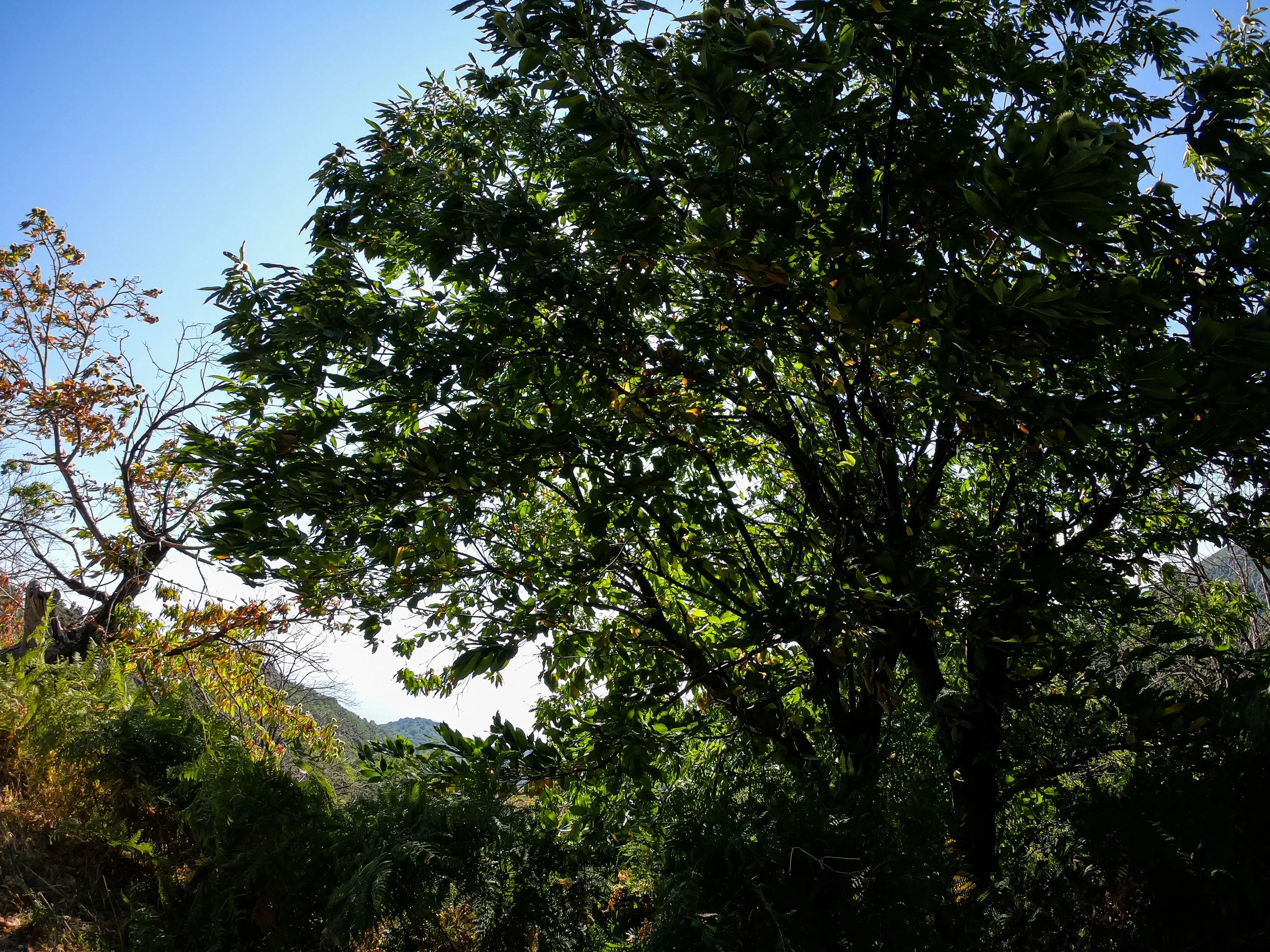 GOPR4849.jpg