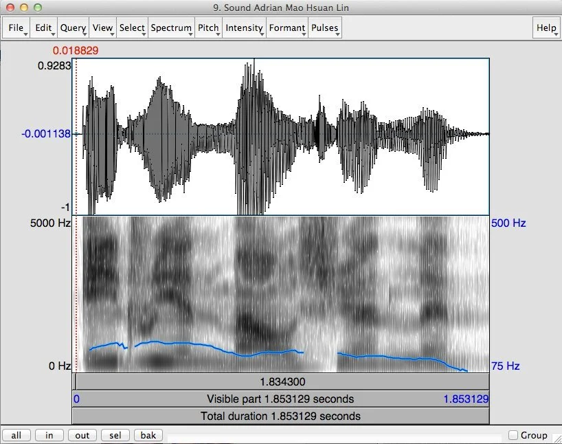 "Adrian" in sound waves