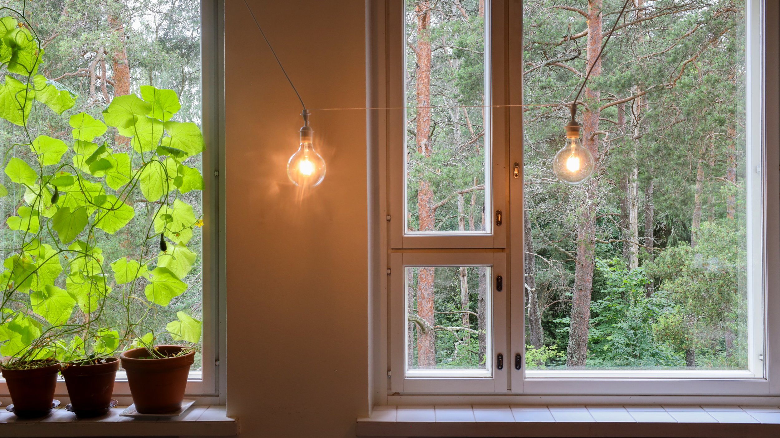Luonto on Villa Vappulassa lähellä.