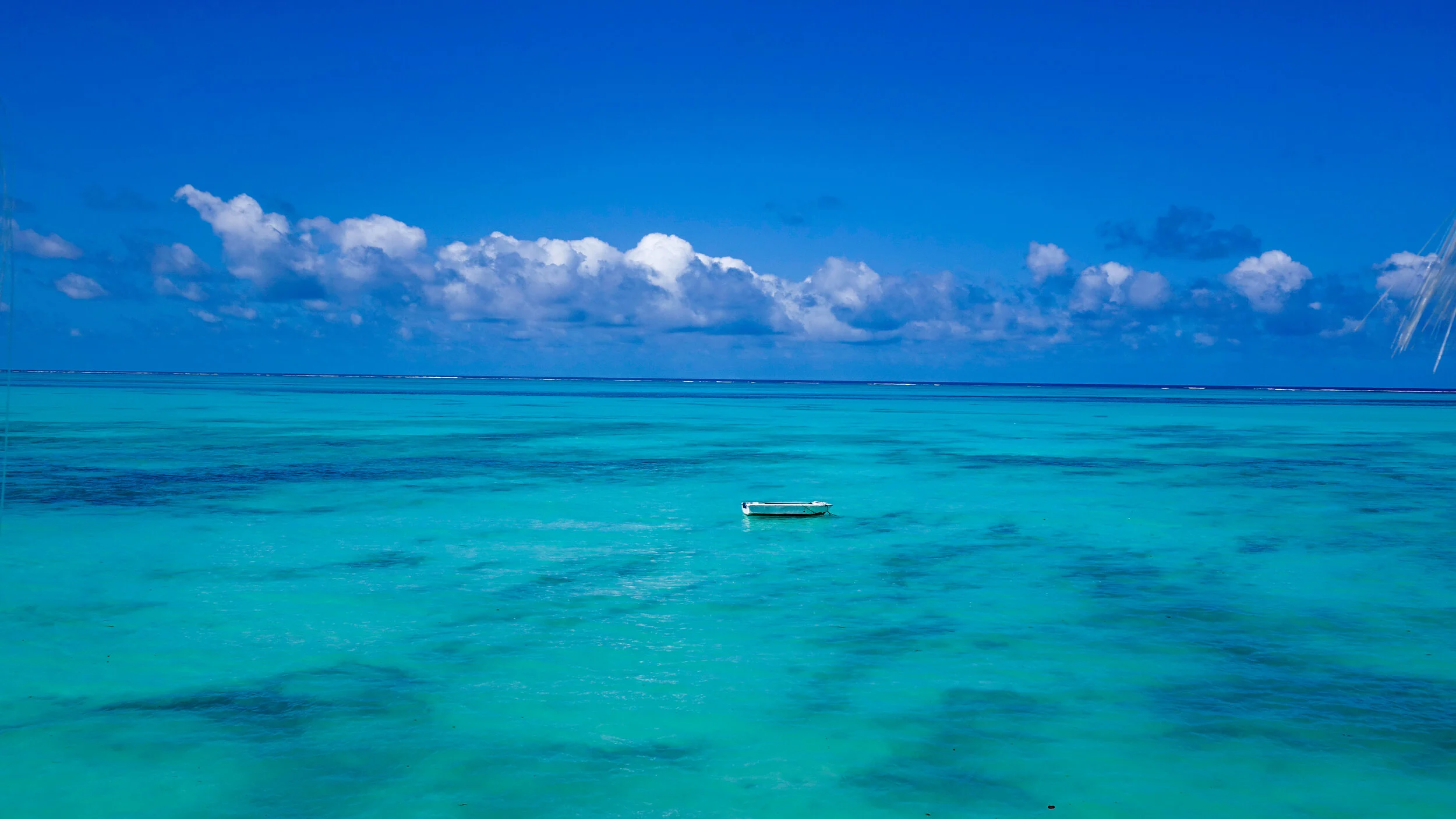 CoralRockView-3.jpg