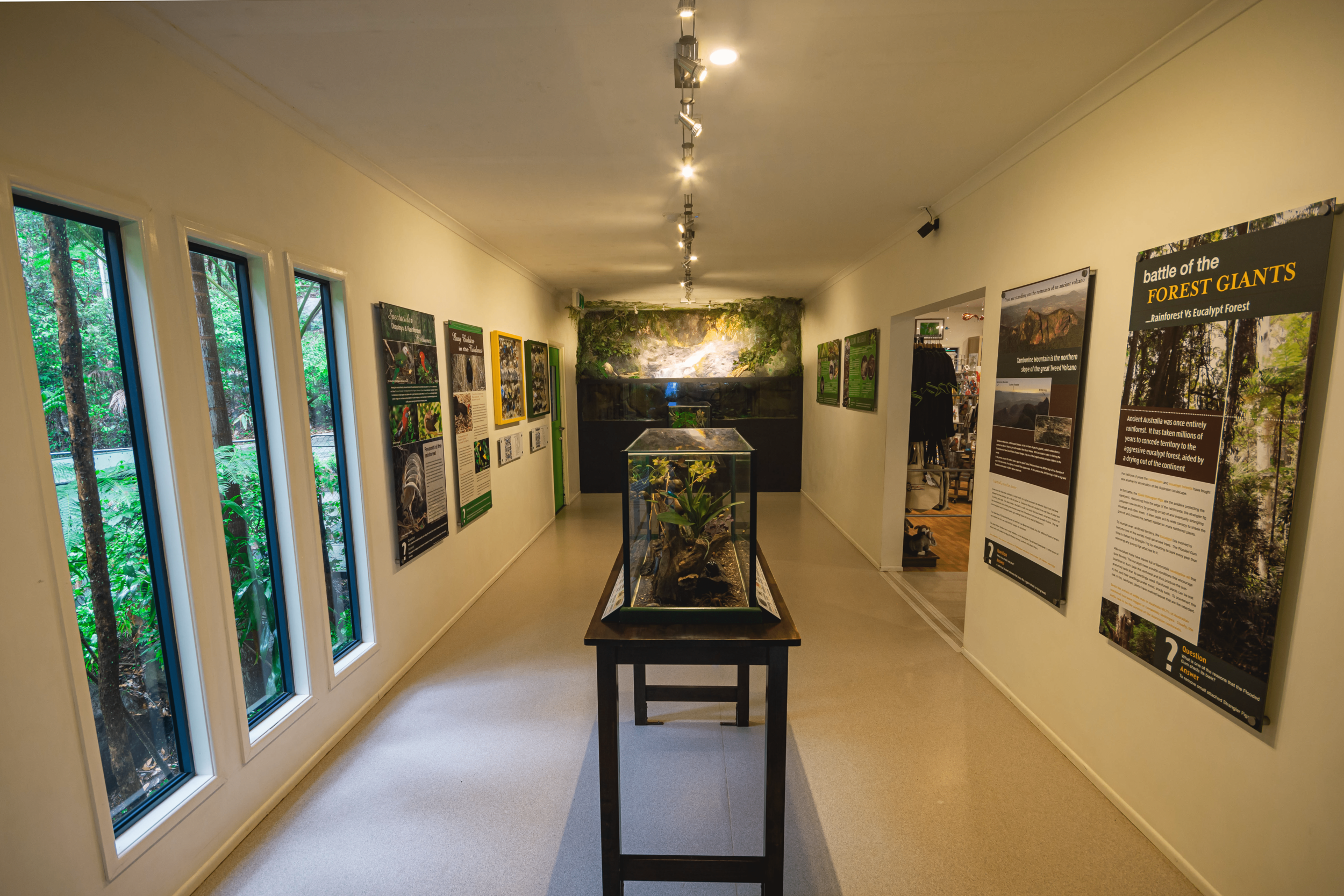 Eco Gallery