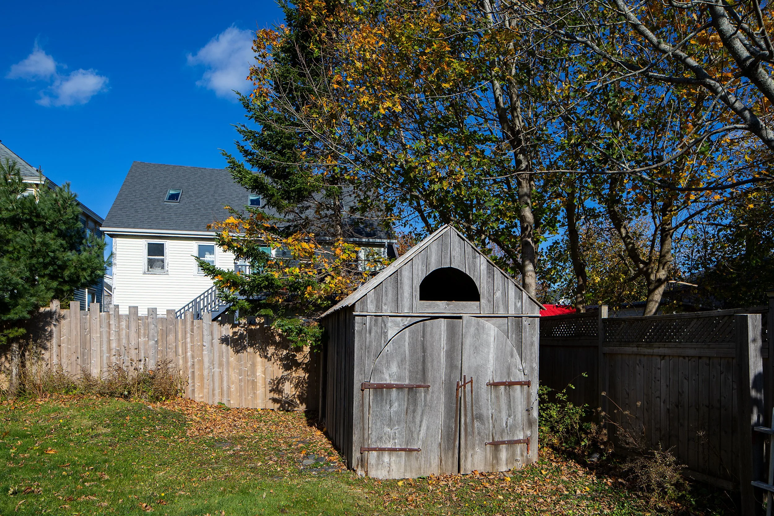69_Fox_Lunenburg_6.jpg