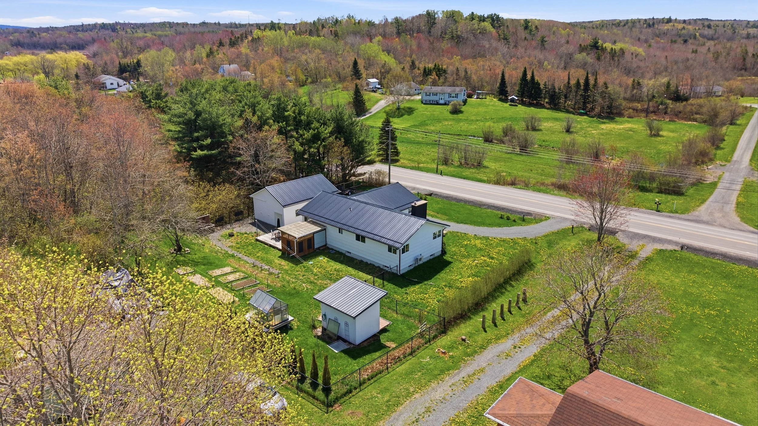 2 Back Yard Overview.jpg