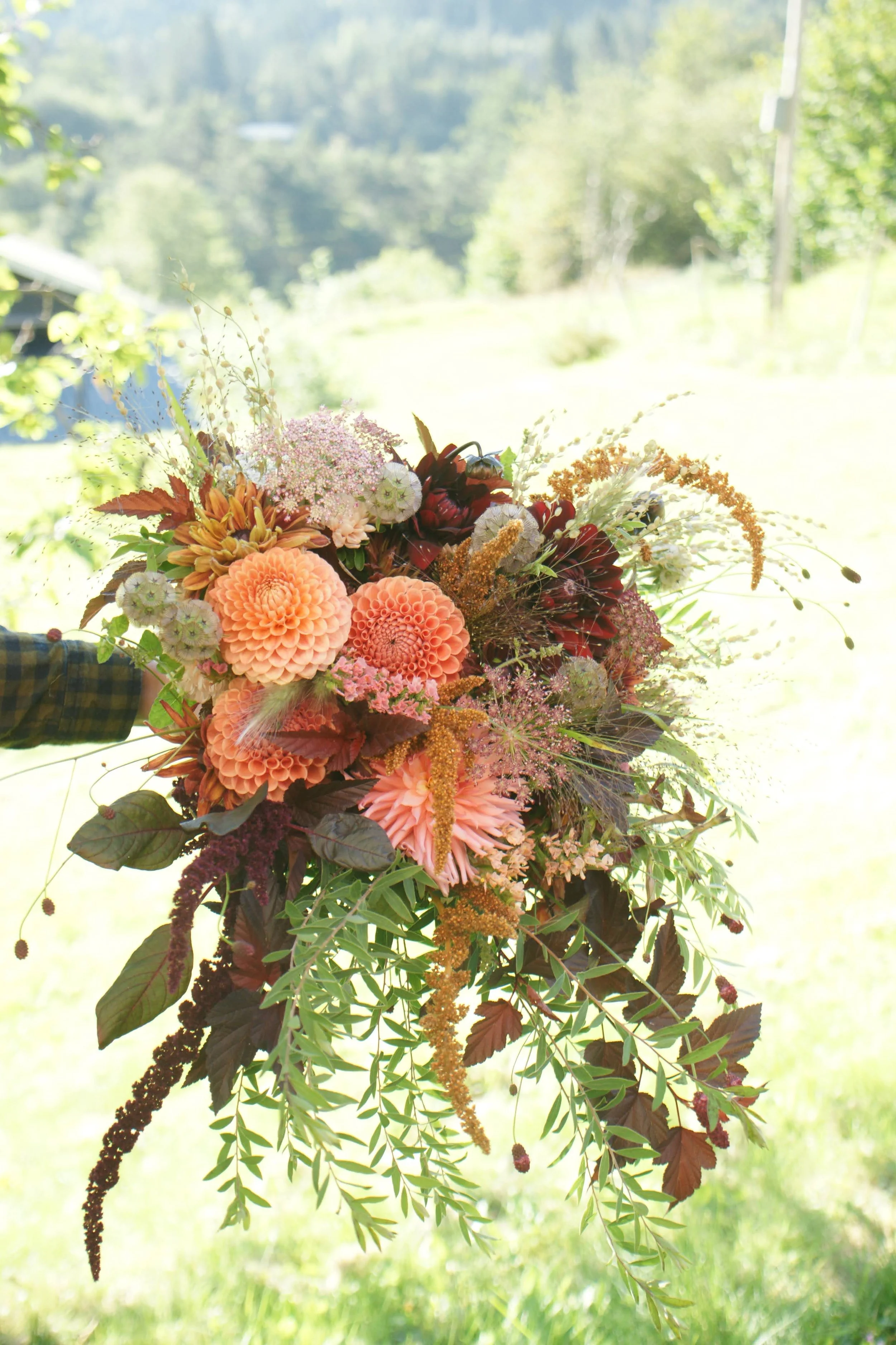 Bukett med blomster i ulike nyanser av oransje og burgunder, omgitt av grønt løv og gress. Bakgrunnen er en grønn, uskarp naturlig landskap.