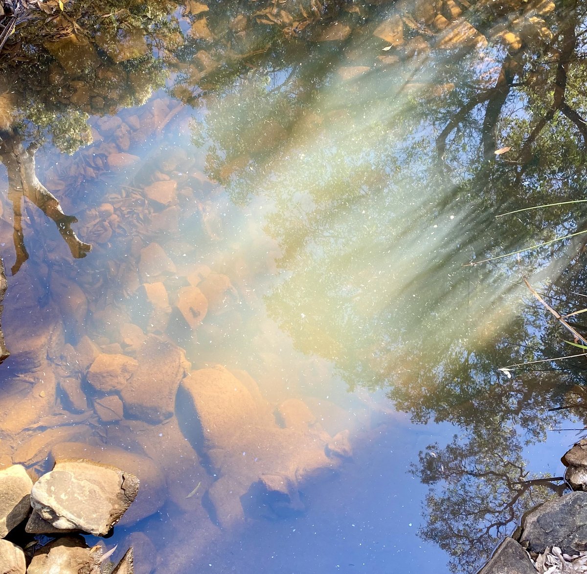 Il y a – memory of a word lacking