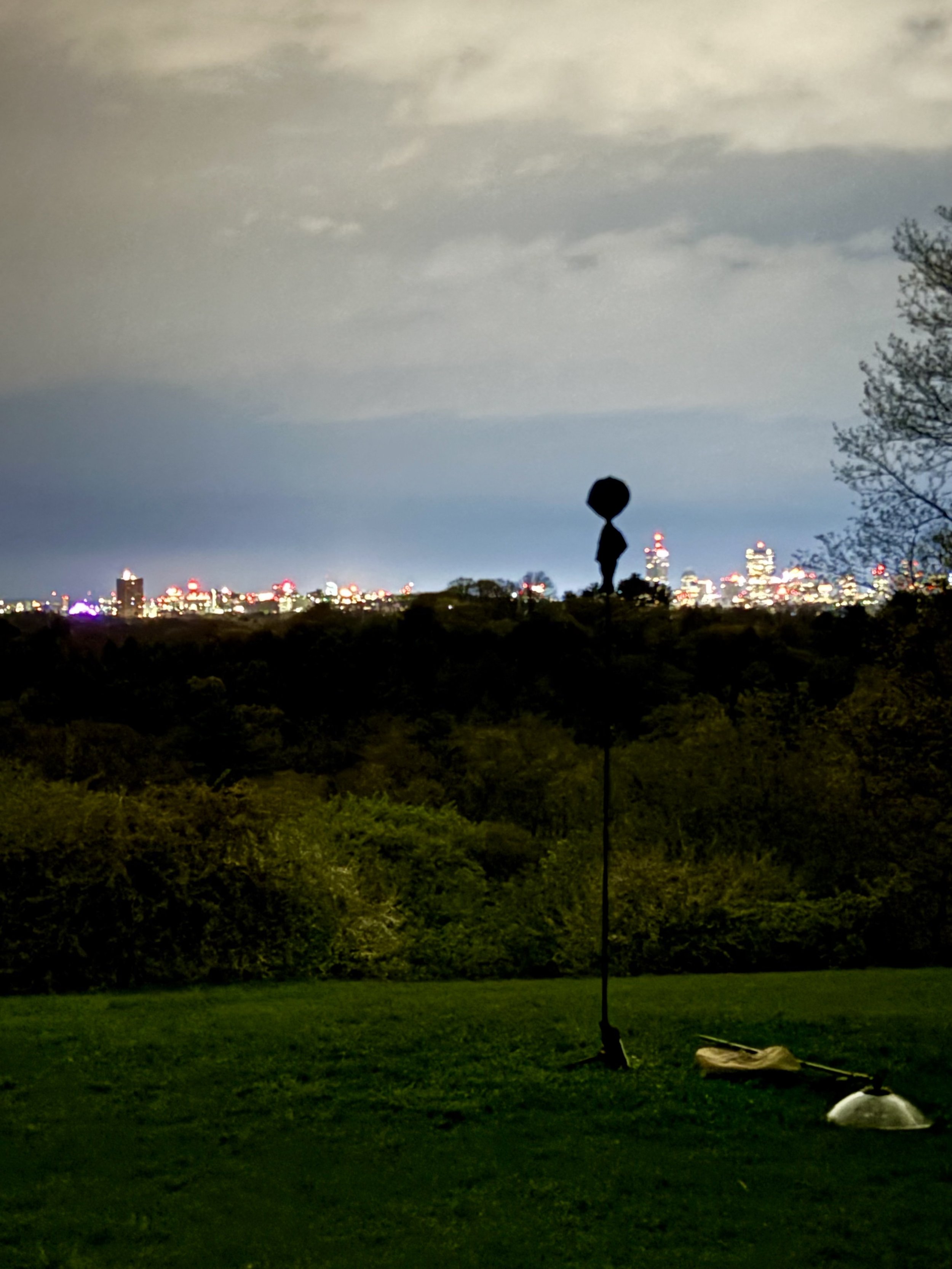 Arboretum – International Dawn Chorus Day