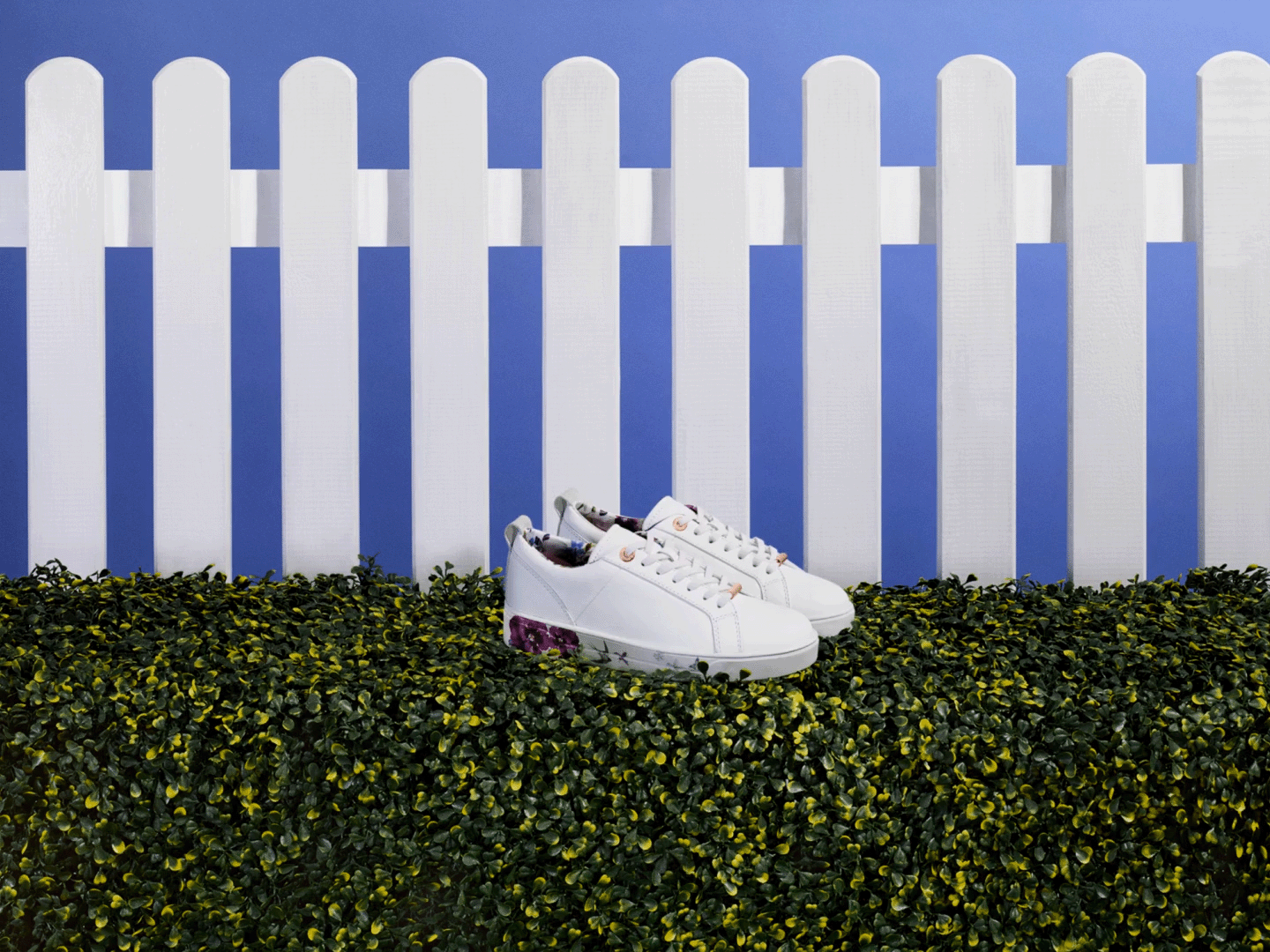 TedBaker_SS17_Campaign_GIFs_FrontLawn_02 copy.gif