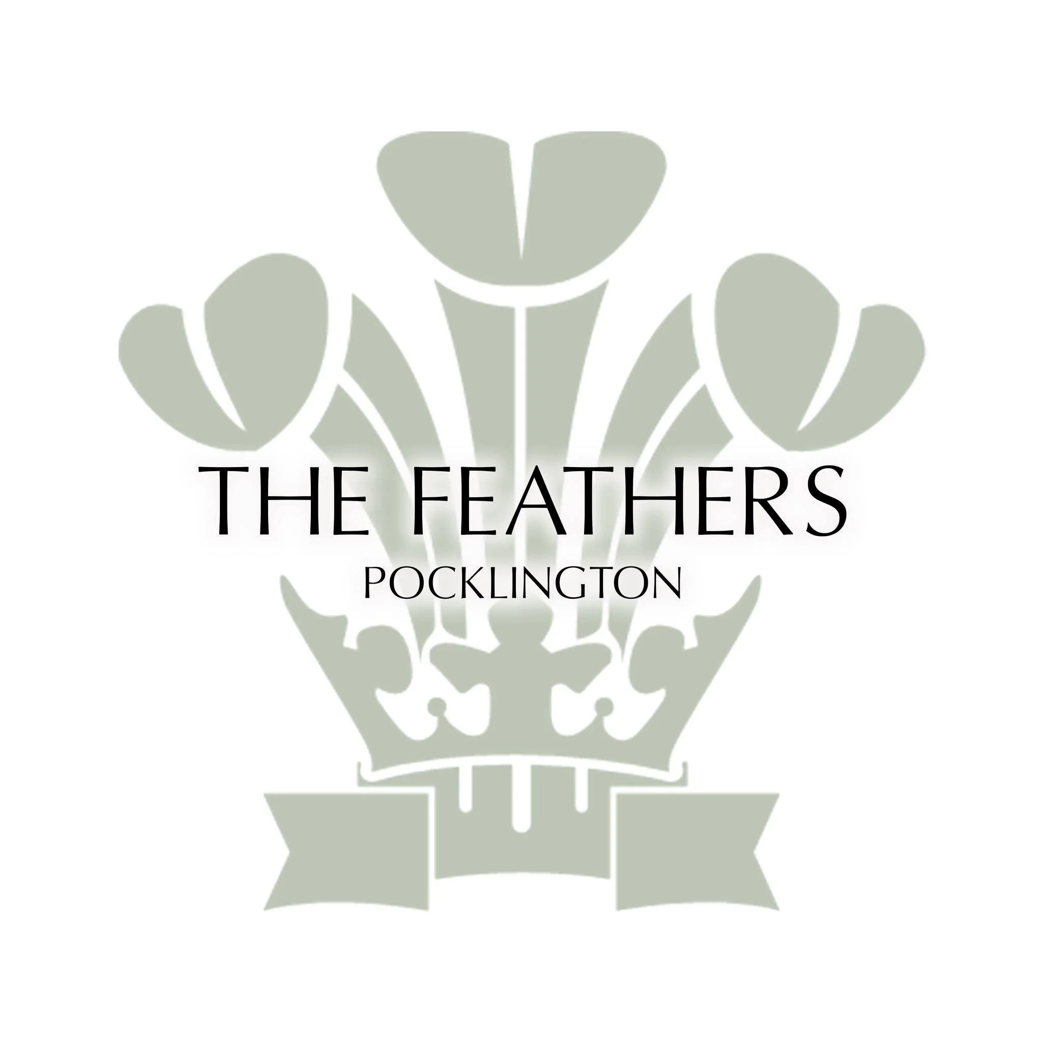 Feathers Logo.jpg