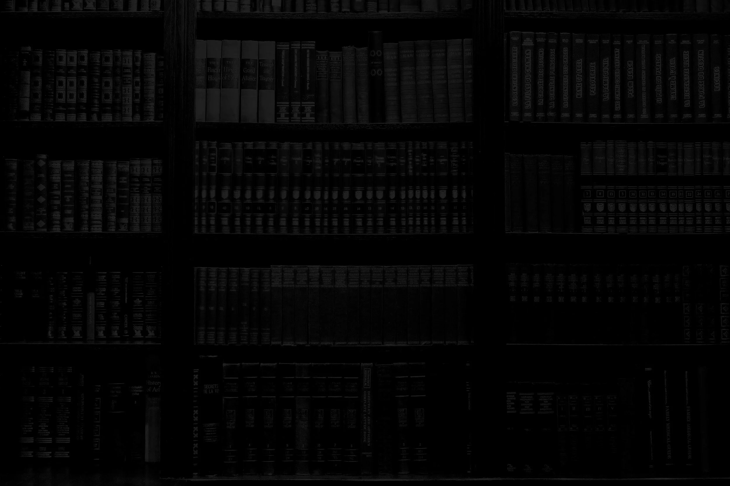 Bookshelves filled with books in a library or bookstore.