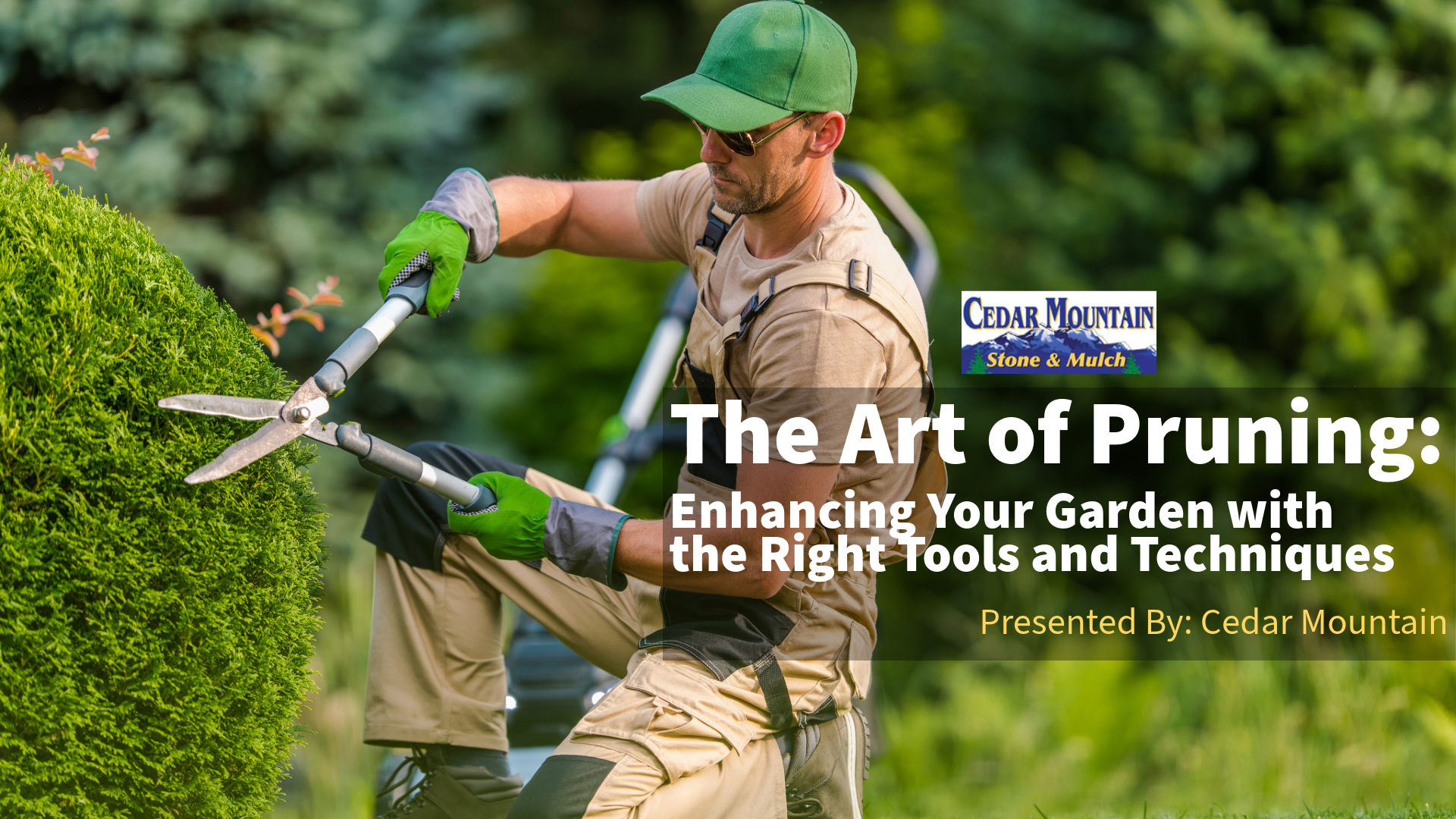 The Art of Pruning: Enhancing Your Garden with the Right Tools and Techniques