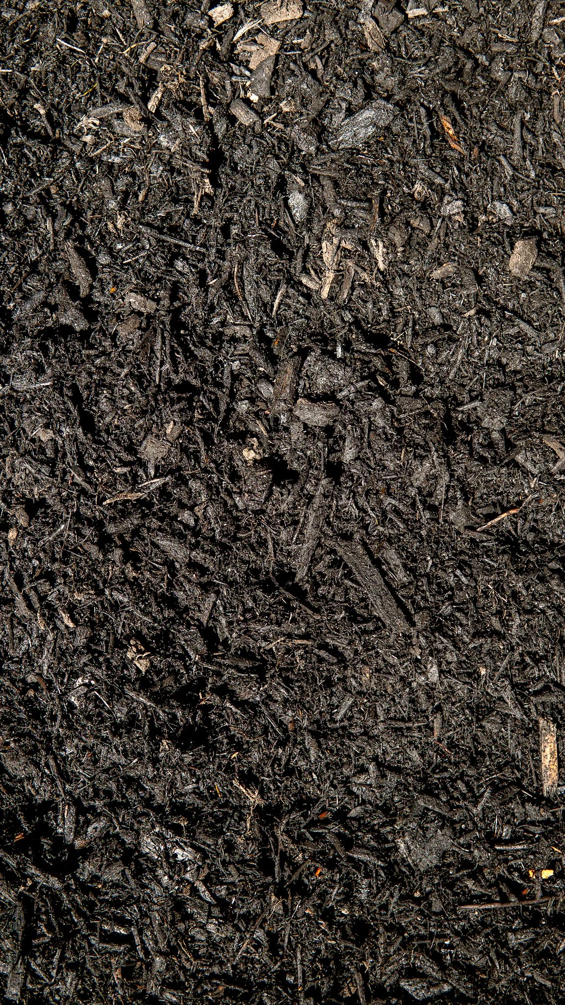 Black Mulch.jpg