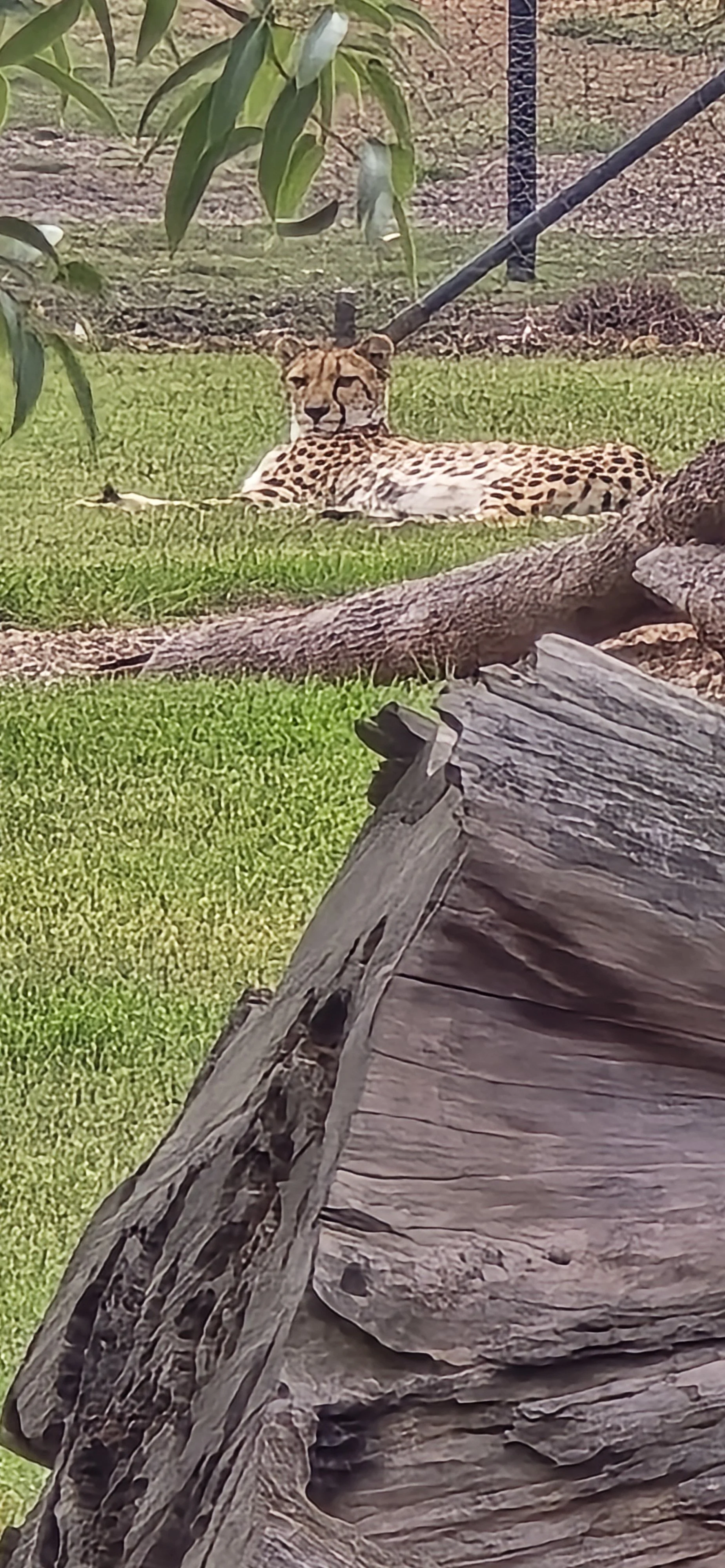 20260427_131311.jpg
