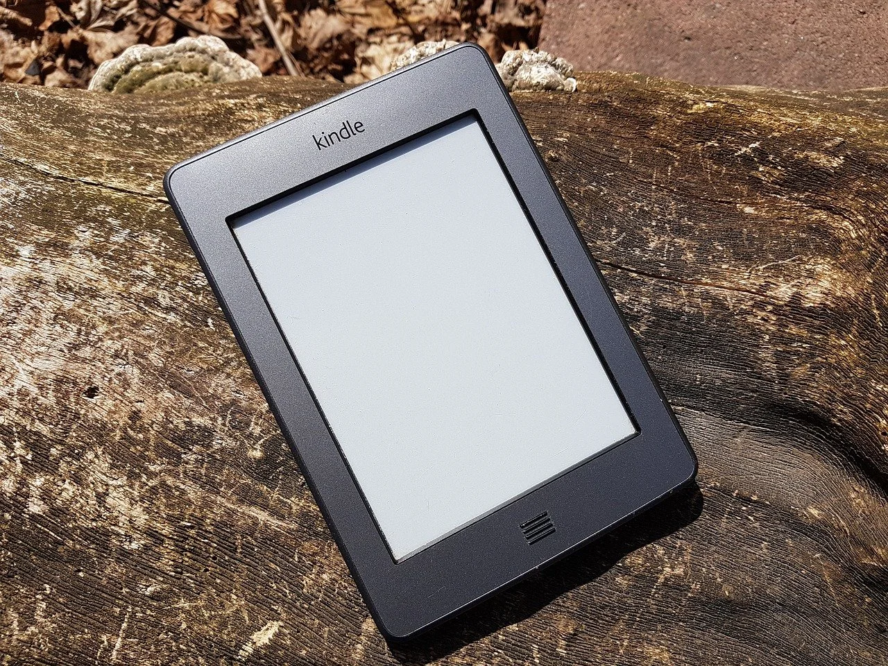Amazon Book PreOrder Strategy for Ebook Authors — Daniel J. Tortora