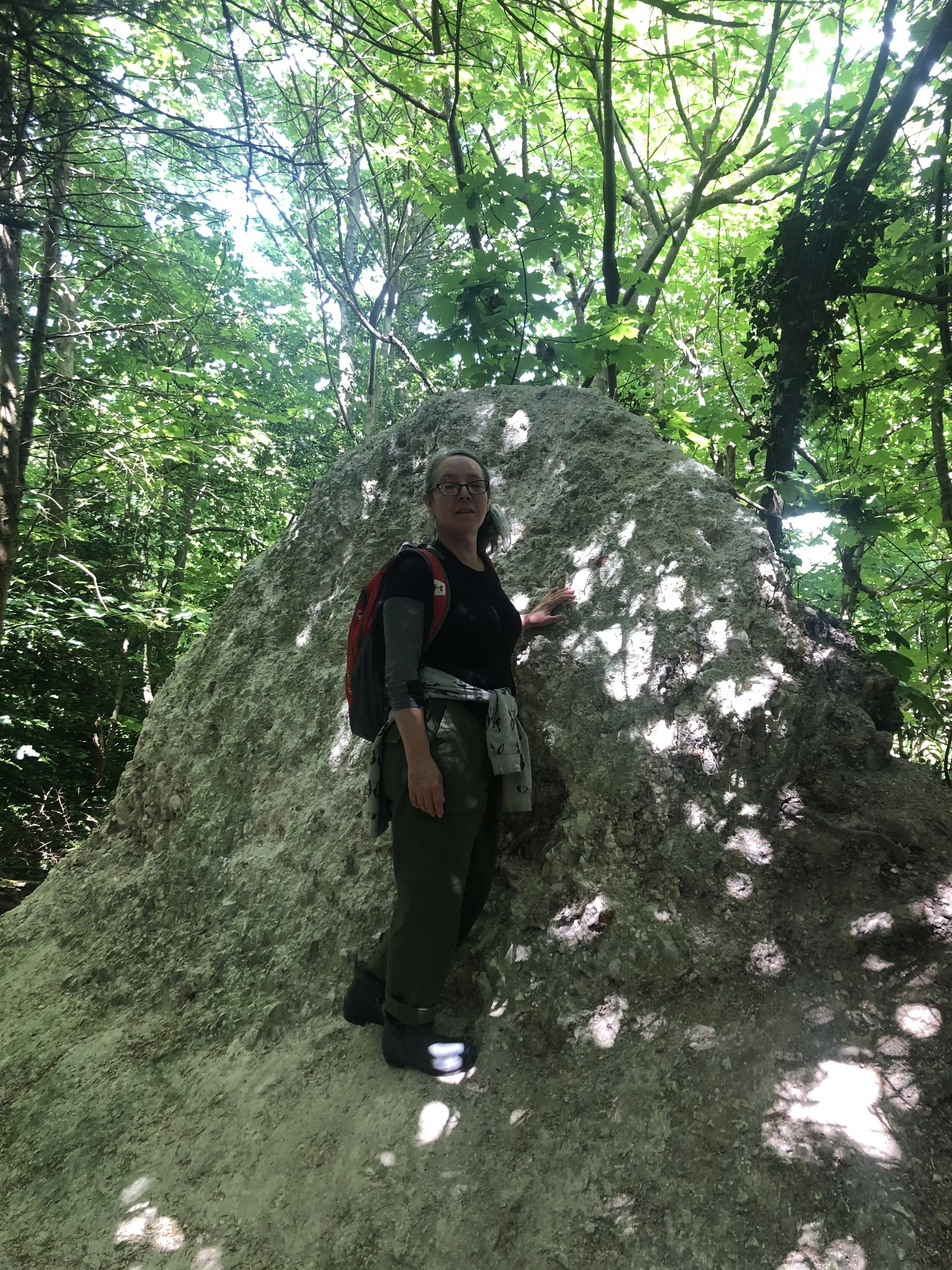 Flick Chalk mound.jpeg