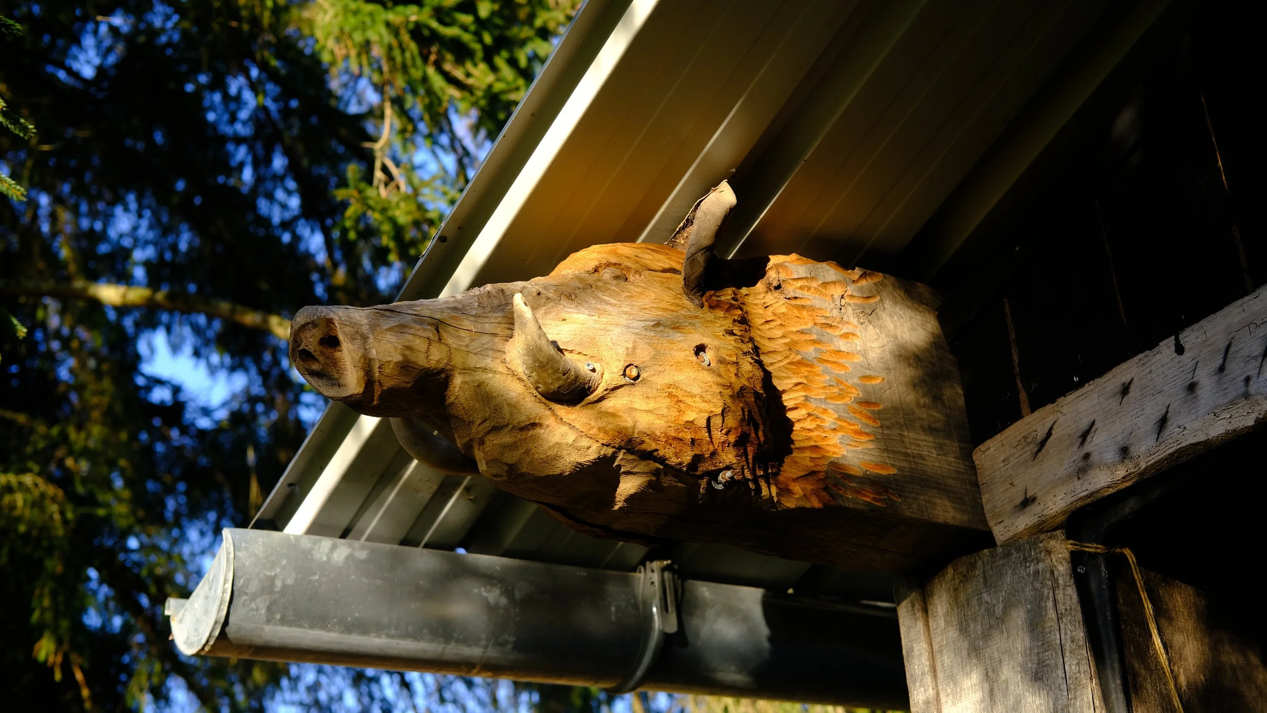 DSCF1255.JPG