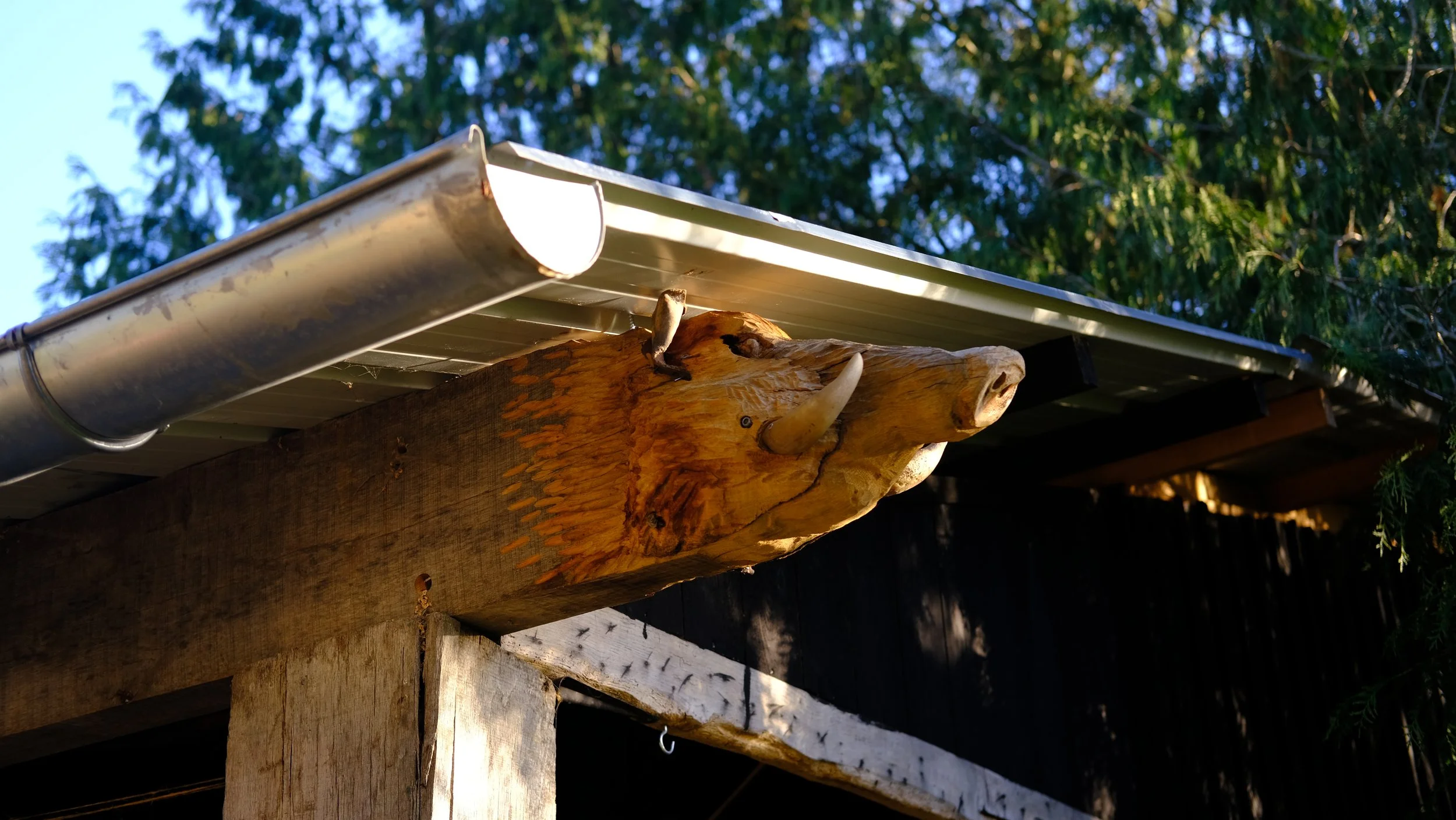 DSCF1253.JPG
