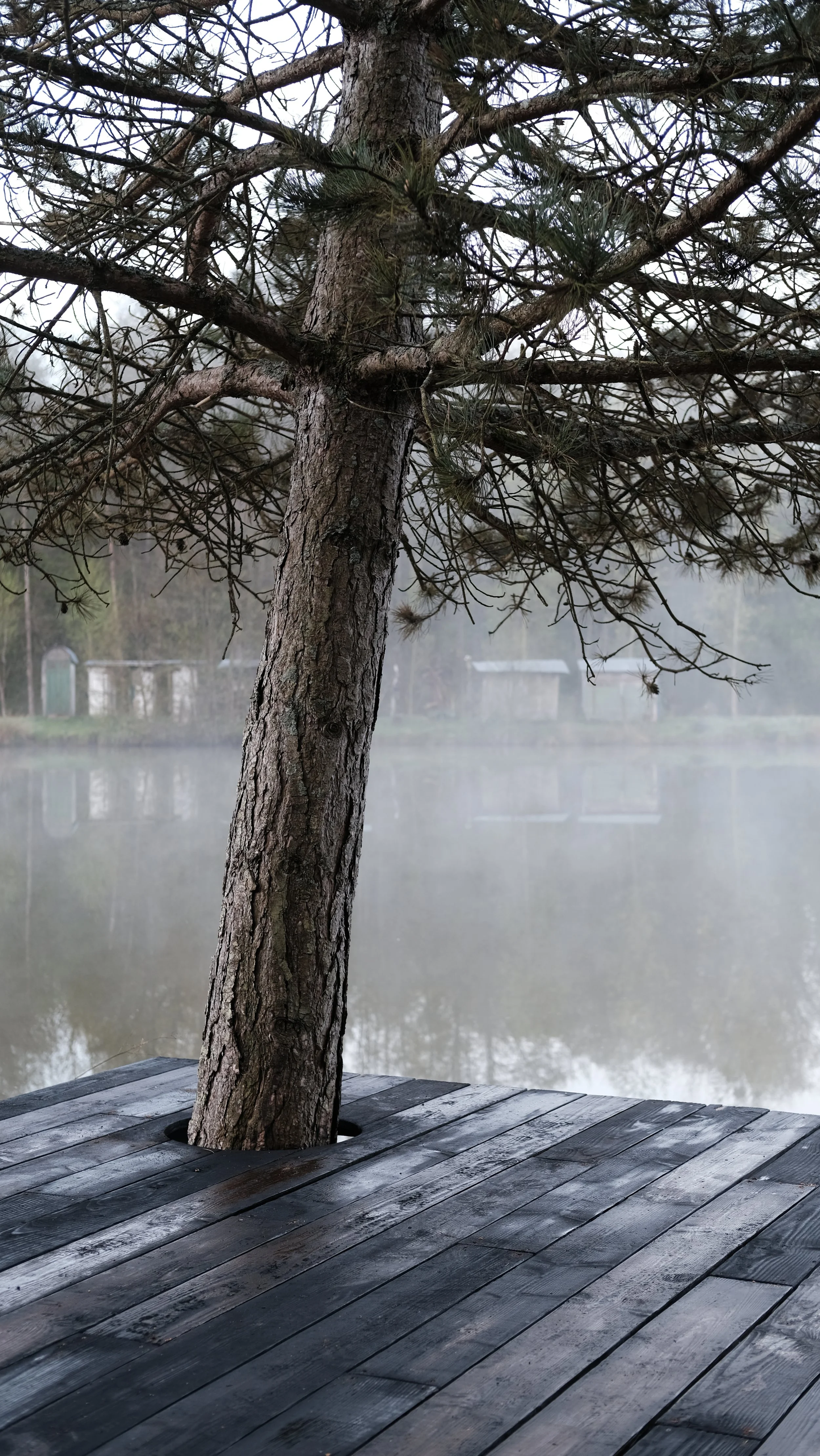 DSCF4130.JPG