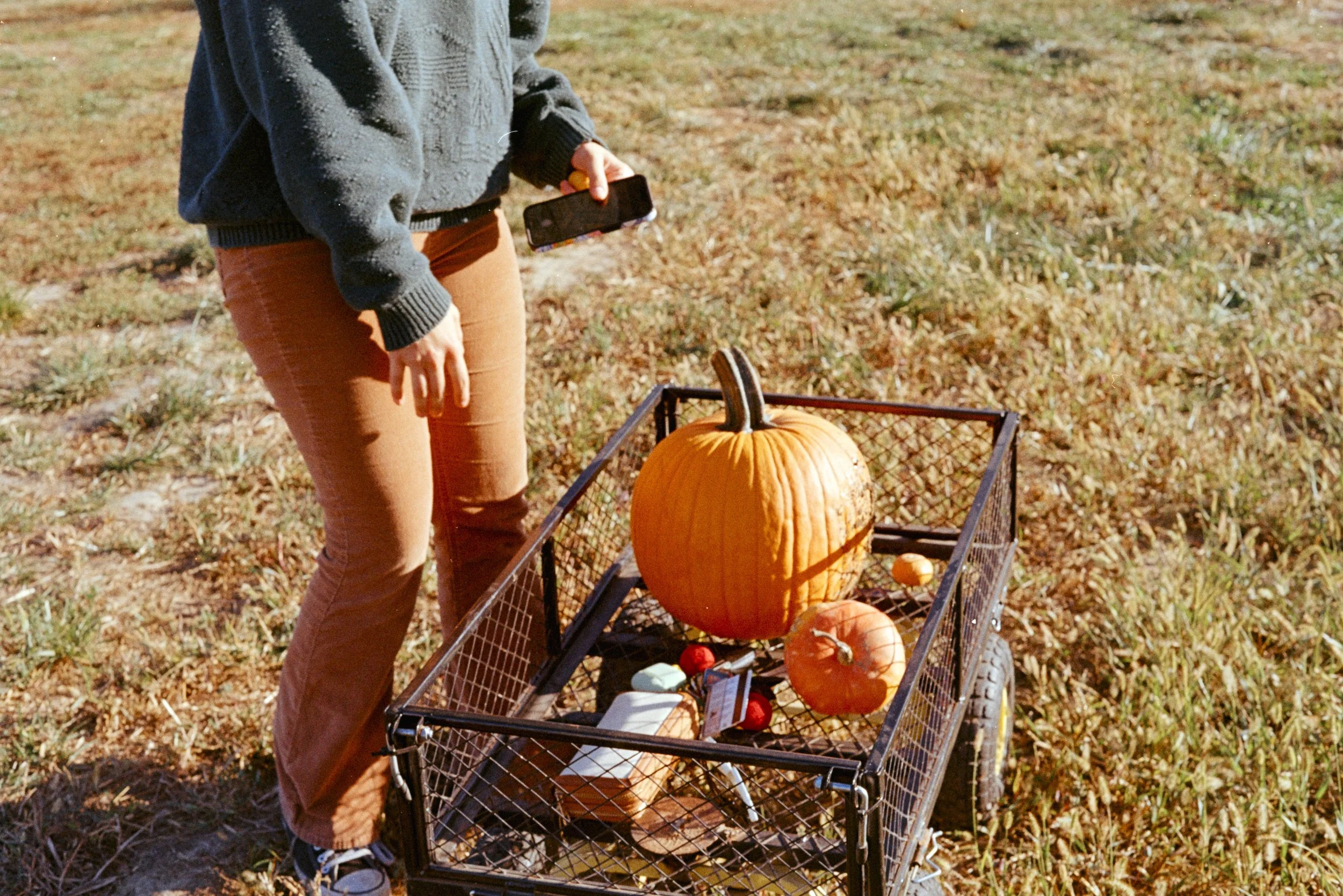“The Perfect Autumn:” Curating the ideal fall season