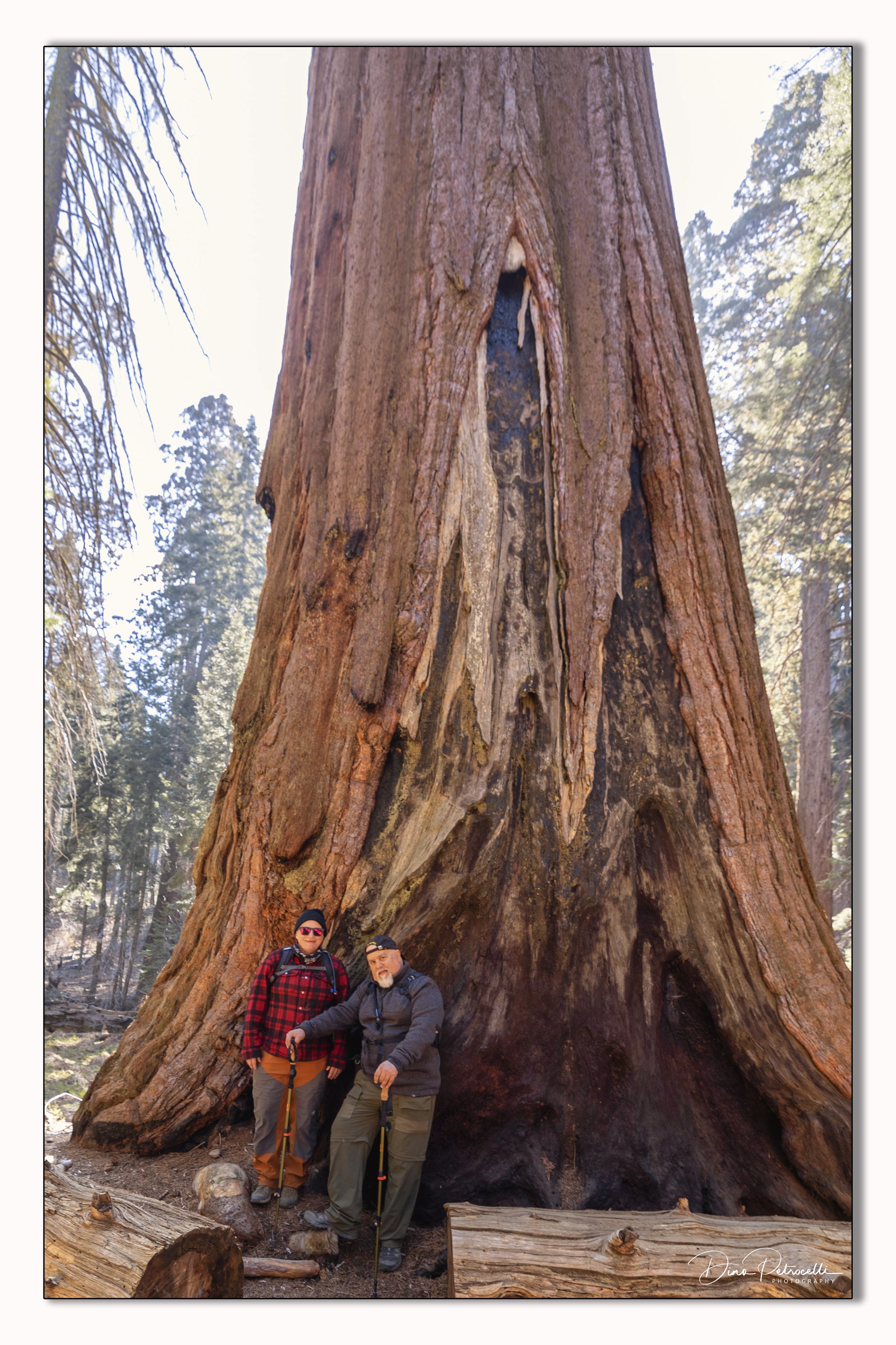 sequoiawithlinda&dino.jpg