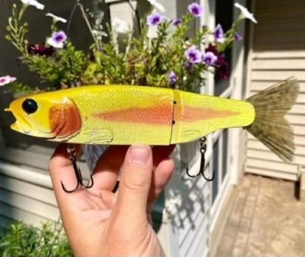 KGB Golden Trout glide bait