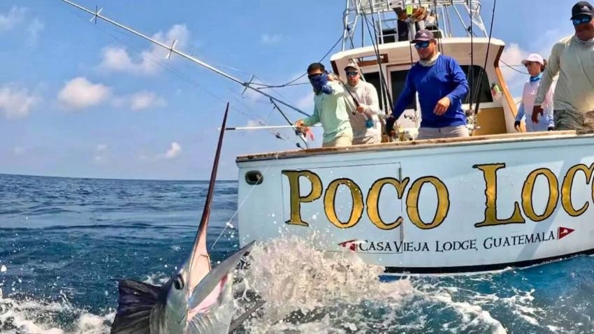 Poco Loco fighting a sailfish at Casa Vieja Lodge Guatemala