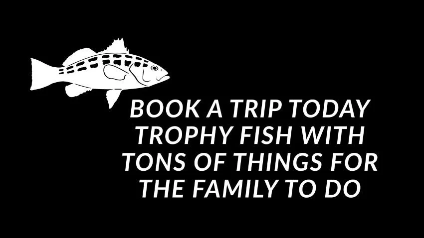 How to book a California Calico bass trip