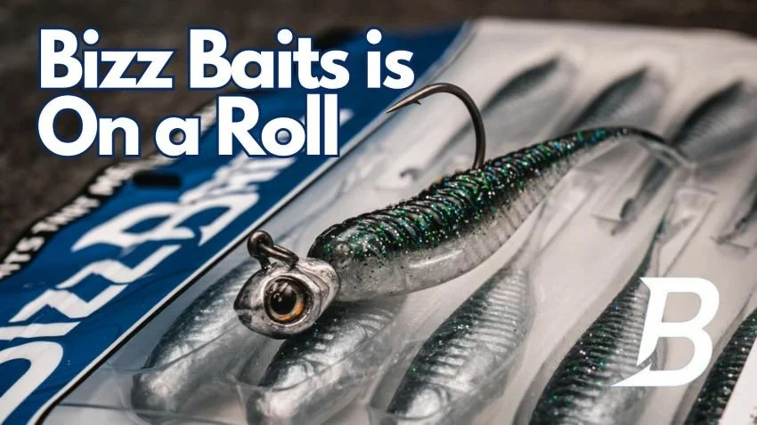 Bizz Baits Roller Jighead and Minner