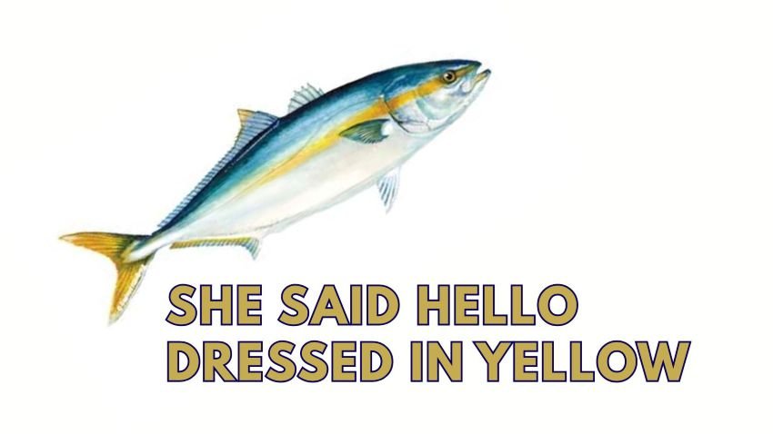 yellowtail tattoo guide and examples