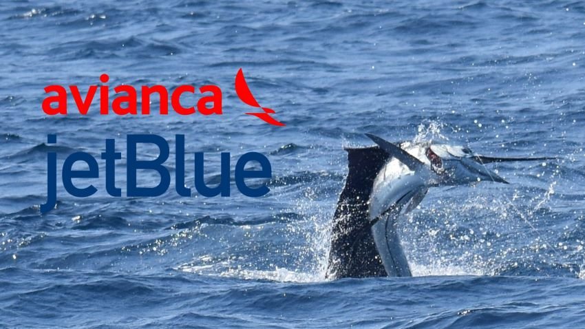 Avianca and JetBlue to La Aurora Guatemala