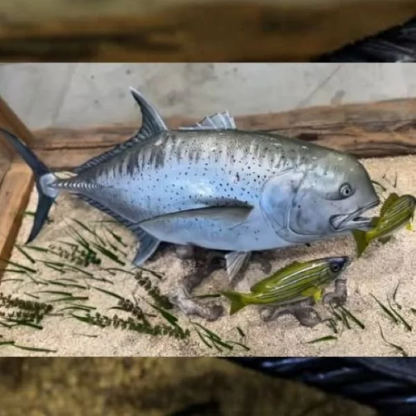 Giant Trevally replica coffee table