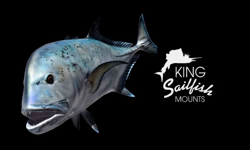 Giant Trevally replica from King Sailfish Mounts on a black background