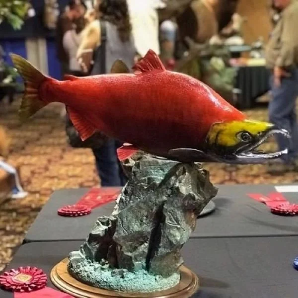 Award-winning sockeye salmon taxidermy on rock base