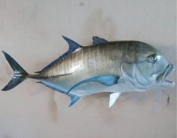 Angler's Pride Reproductions Trevally trophy