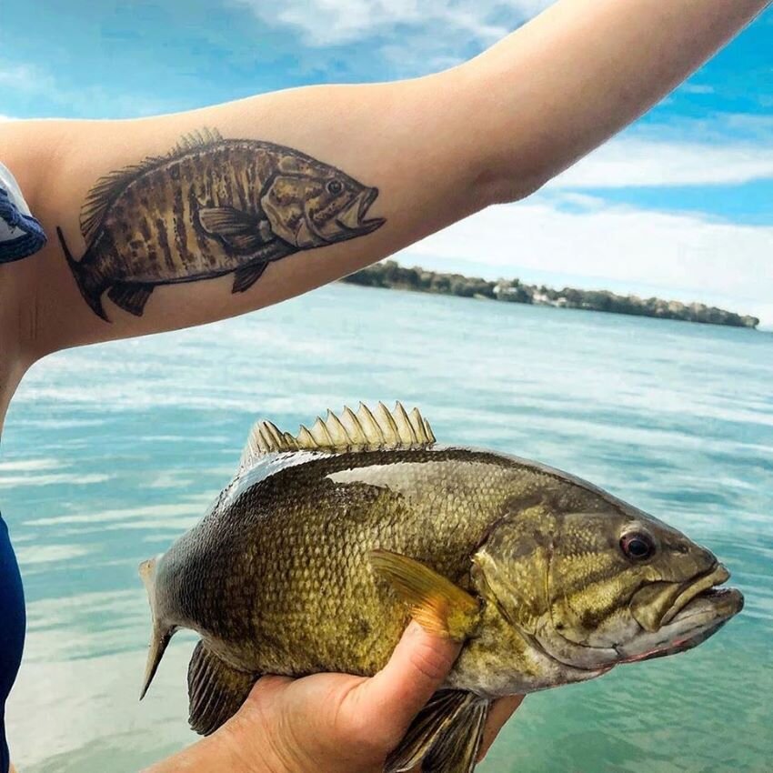 Bass fish tattoo by hellcatmolly on DeviantArt