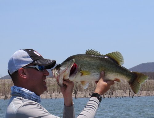 Small Lures for Big Mexican Bass — Half Past First Cast